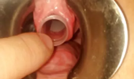 سبزه فیلم سکس مرد با اسب با شاخه لب به لب در الاغ