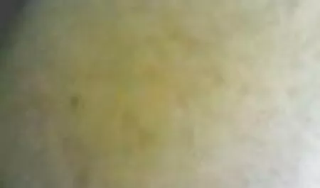دوست دختر سوت زدن عکس سکسی مردان چاق در الاغ